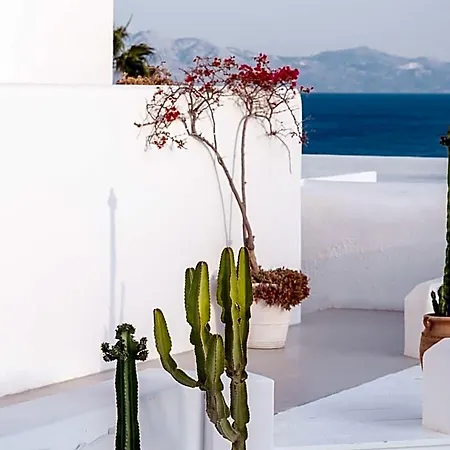 Mykonos Blu, A To Live Szálloda